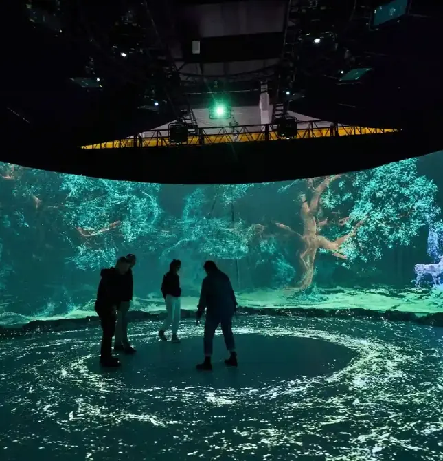 IMMERSIVE ROOM PROJECTION .webp